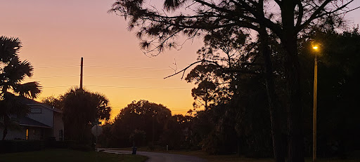 Filbert Street Park Gallery - United States