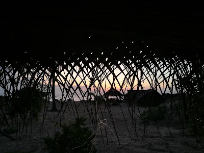 Photos of Dolphin Village