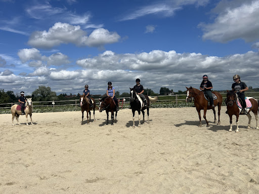 Photo de Résidence Equine du Domaine du Verseau à Sagy (71580)