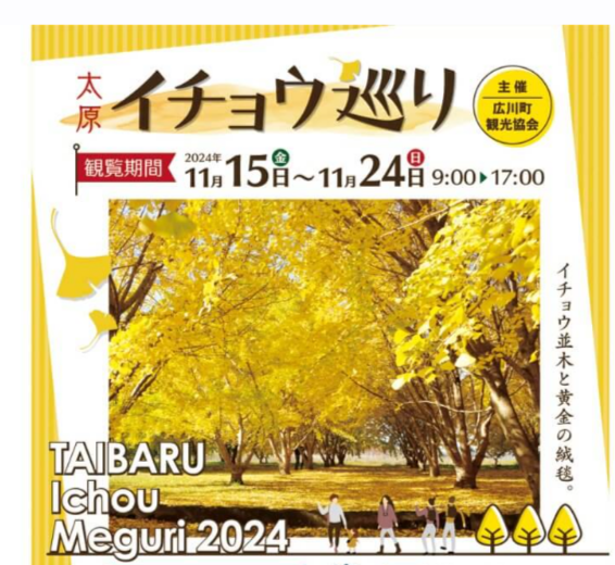 らーめん さかい 本店