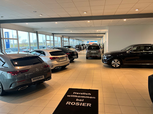 Rosier - Visual