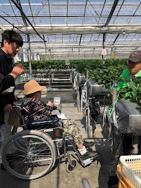 株式会社 介護の和 （介護付き旅行サービス 和-なごみ-）