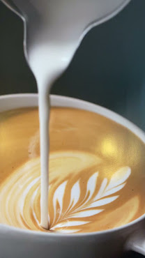 Café d’Auteur - Specialty Coffee shop & roaster by null