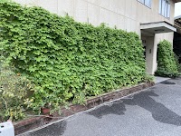 (株)八起電気工事