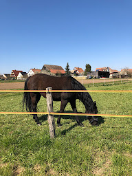 Photo n°38 de La Stube de Marinette à Hipsheim (Agence de voyages)
