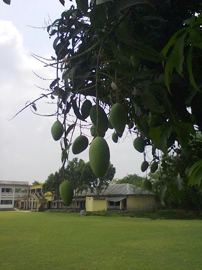 Photos of Dakra Degree College