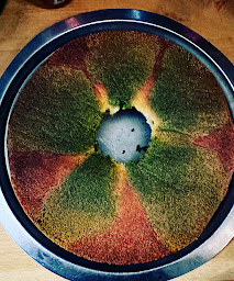 Photo n°31 de Okawali Croix-Rousse à Lyon (Restaurant de porc pané et frit (tonkatsu))