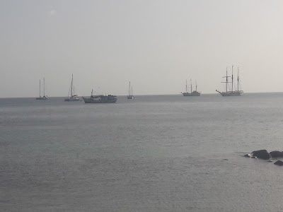 Photos of Island Dreams Yacht Services Inc.