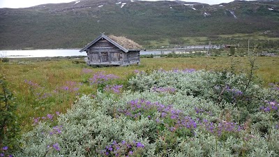 Photos of Mogen