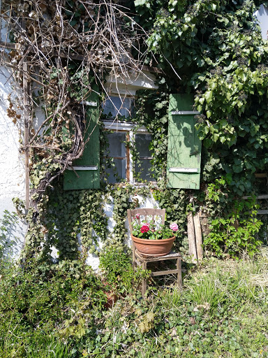 BaumHaus Immobilien - Thumbnail