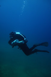 Photo n°17 de La Palme Synthoise à Grande-Synthe (Association bénévole)