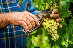 Photo n°3 de Chamant Crus & Merveilles à Chamant (Fromagerie)