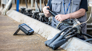 Photo n°3 de TSE (Locminé) à Plumelin (Fournisseur de matériel agricole)
