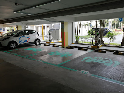 BlueSG (Sengkang/Compassvale Road/Blk 256A/Deck 1B)