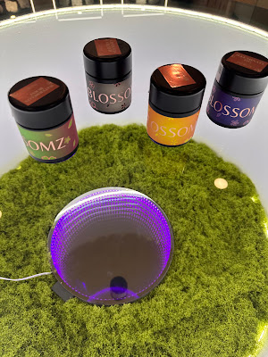Photo of Say High DC Weed Dispensary DC