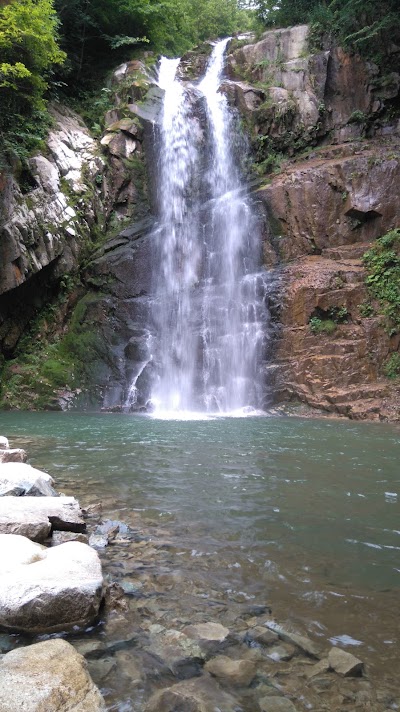 Photos of Spider Forest and Nature Conservation Areas