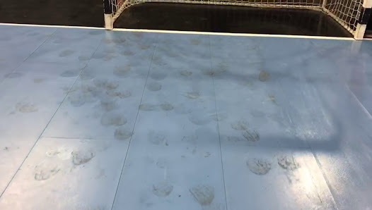 Bild: Adams Facility Management - Gebäudereinigung Kiel Vom Inhaber