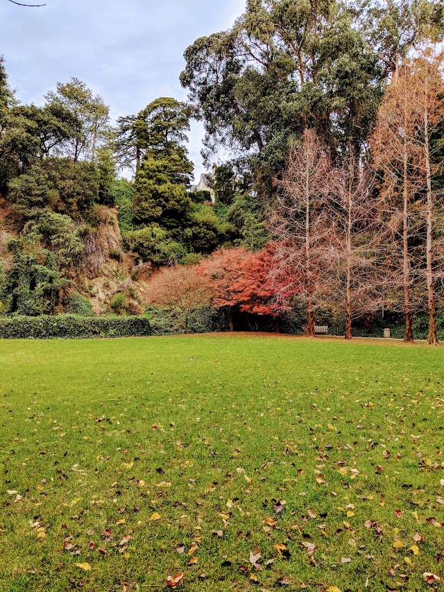 Dracena Quarry Park