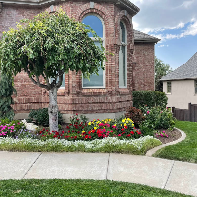 Three Trees Landscaping Landscaping