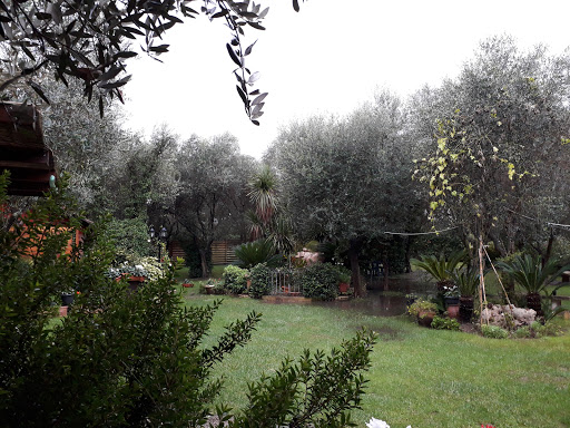 La Locanda Di Decima - Thumbnail