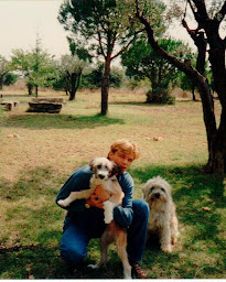 Photo n°9 de Clinique la Croix Bleue à Bagnols-sur-Cèze (Clinique vétérinaire)