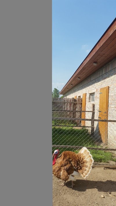 Photos of Equestrian centre - R&eacute;vb&eacute;rpusta