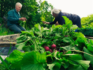 Photo n°11 de Jardin du Piqueur à Garches (Restaurant)