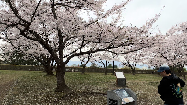 Opinii despre 盛岡城跡公園 în 盛岡市 - その他