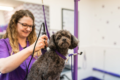 Knoll Animal Hospital