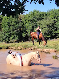 Photo n°5 de L'Ecrin de Jaspe à Saint-Beauzile (Programme de bien-être)