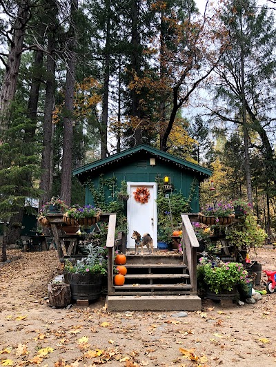 Ripple Creek Cabins