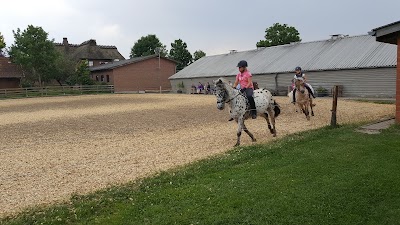 Photos of Ferienhof Thomsen