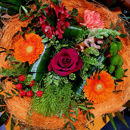 Photo n°34 de Cannelle Fleurs | Fleuriste Bégard à Bégard (Service de plantes d'intérieur)