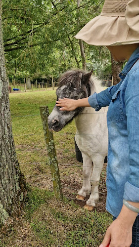 Lilliput Taupo Animal Park Phone number