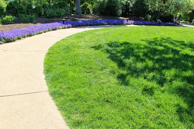 Cheekwood: Estate and Gardens