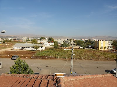 Photos of Adıyaman Belediyesi Veteriner M&uuml;d&uuml;rl&uuml;ğ&uuml; Sokak Hayvanlari Bakım Ve Tedavi Merkezi Hayvan Barınağı