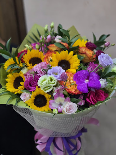 София център, бул. „Александър Стамболийски“ 20, 1000 София