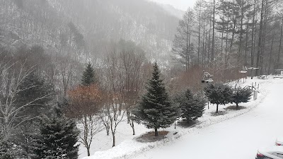 Photos of 용대오토캠프장