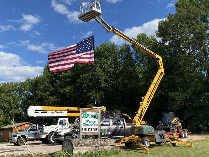 Bear's Tree Service
