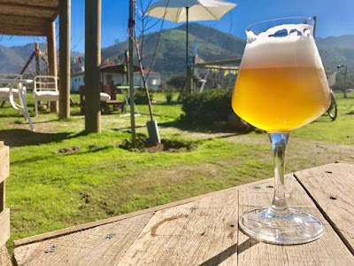 Photos of Cerveceria Brugge