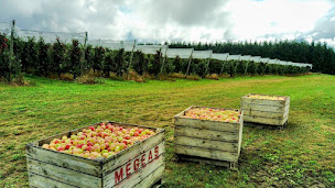 Photo n°12 de Les Vergers de Megeas à Nieul (Épicerie)