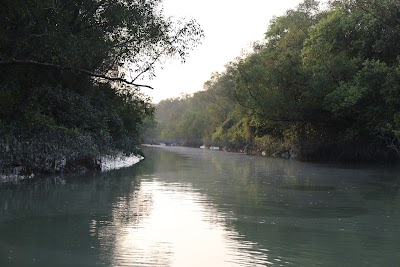 Photos of Sonar Char Mangrove Forest & Wildlife Sanctuary