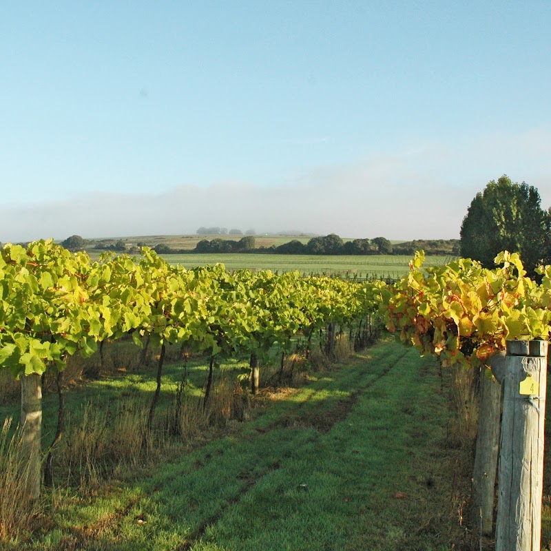 Highdown Vineyard photo 2