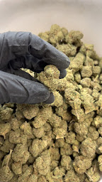 Photo n°10 de D & B Street shop - CBD Shop Sedan à Sedan (Centre de bien-être)