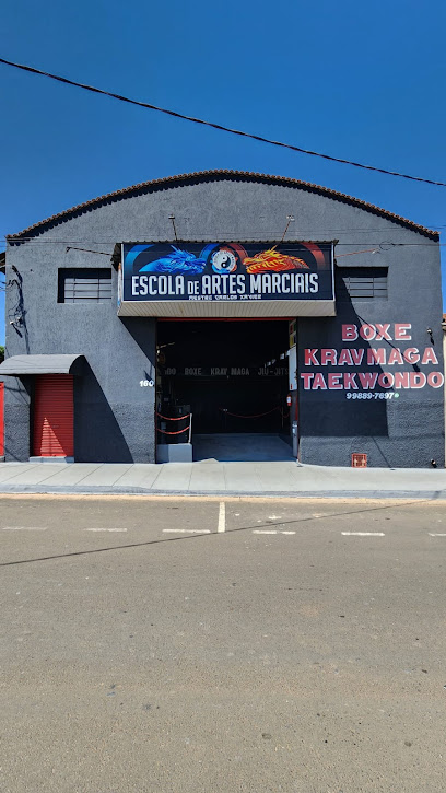 Escola de Artes Marciais