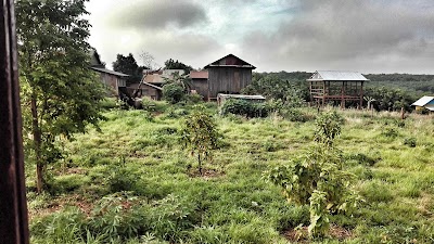 Photos of Tree Trails Travel Lodge