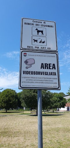 Cavea skatepark - Thumbnail