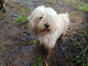 Photo n°19 de Association 100 Toits (loi 1901) à Cucuron (Association ou organisation)