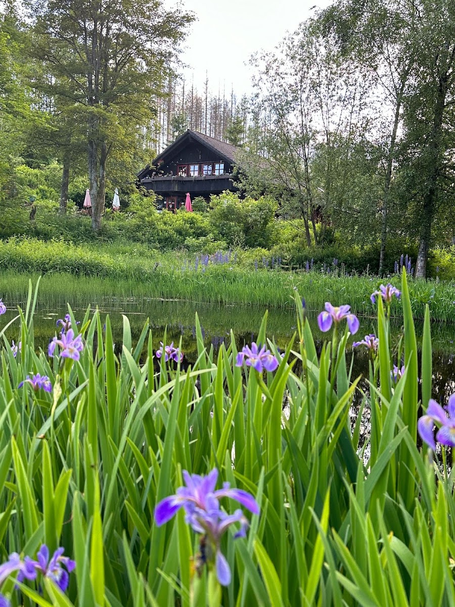 Waldcafe Forellenteich — photo 6