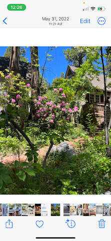 Saddleback Inn by null